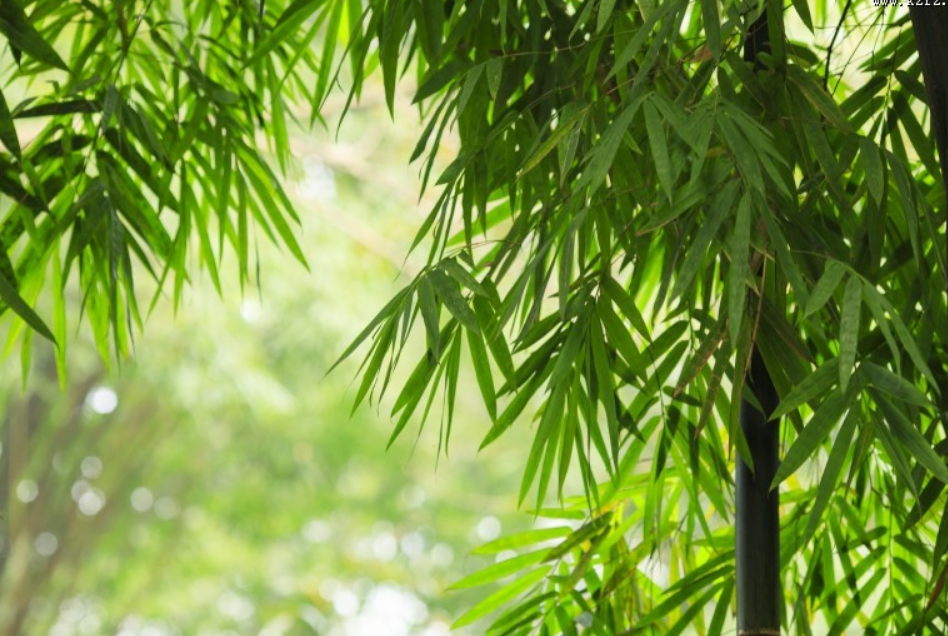 |并不是所有00后都能拯救职场，说说我的经历