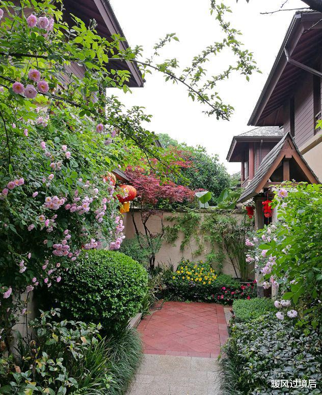 |院子,是最大的奢侈