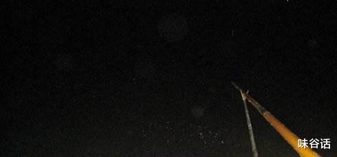 广东省|广东一男子户外夜钓，难得收获一条大鱼却马上就回家了，为啥？