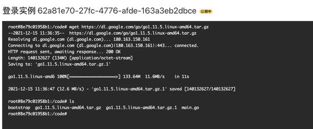 带货|创新推出 | Serverless 场景排查问题利器：函数实例命令行操作