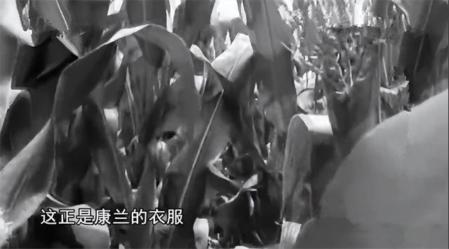 1995年,轰动全国的奸杀案!19岁男孩被枪决,11年后凶手却自首了