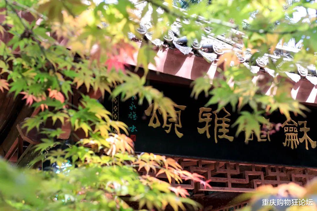 |公交直达，湿地、草坪、运动场！这个宝藏公园怎么还不出圈？