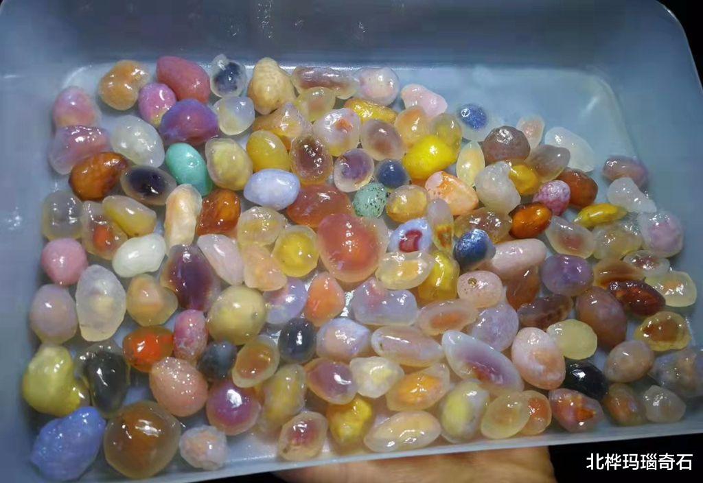 宝贝|捡石头也是心情的寄托