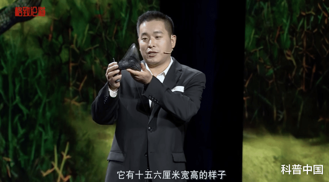 这种鲨鱼,曾是地球上生存过的“最强杀手”