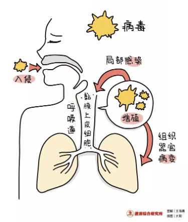 达安科普:新冠侵入人体机制是怎样?新冠核酸快速检测怎样发现的