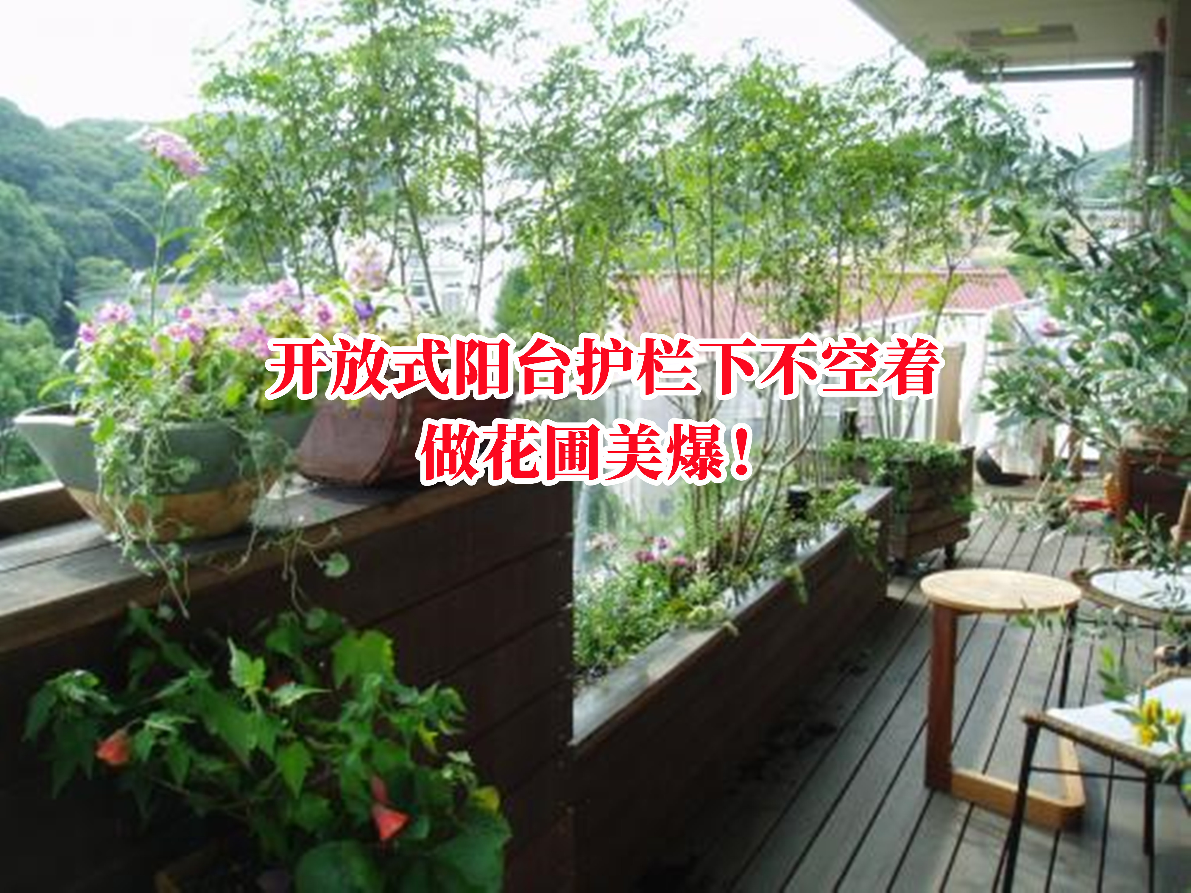 没有院子,那就用阳台代替,绕着护栏种一圈花圃,整栋楼独一无二