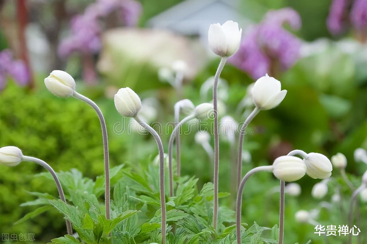 退休|女人退休后,不停止自我的这几种内耗,再好的养生也是徒劳