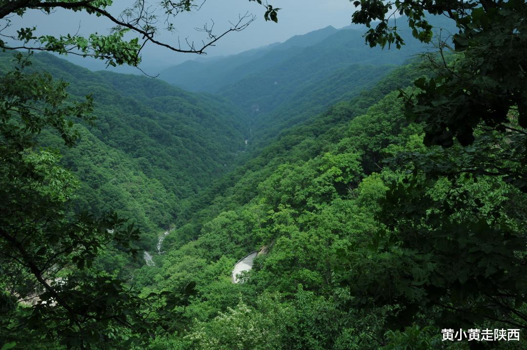 青岛市|凉快、幽静！追寻秦岭大金井河去旅行，发现西安周边“避暑天堂”