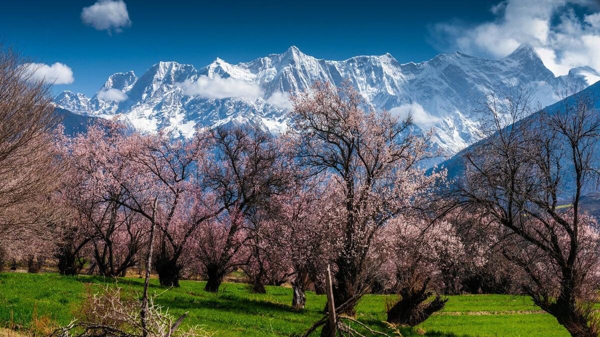 自驾|自驾去西藏旅游，必打卡的十个景点，看看是不是你向往的地方呢