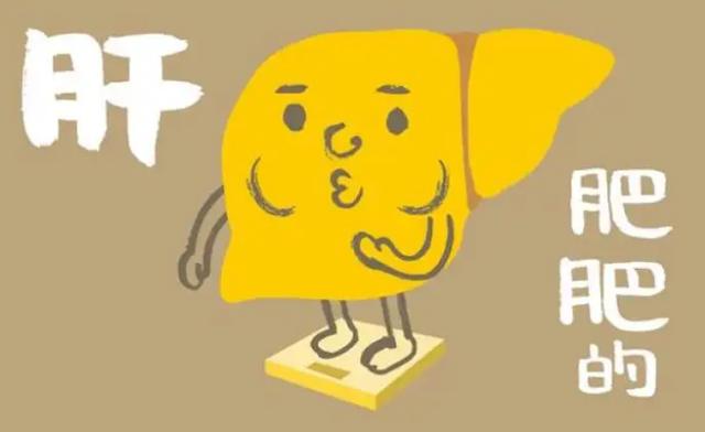 脂肪肝|从脂肪肝到肝癌,时间有多久?