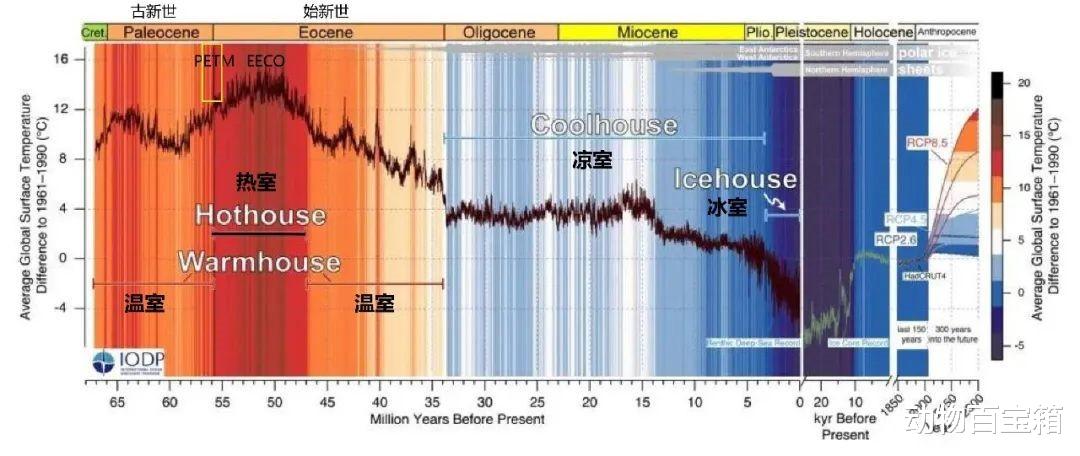 5500万年前的一次“高烧”,地球造就史书上最大蛇类:泰坦蟒!