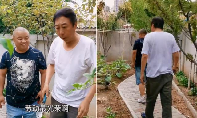 春晚|在春晚走红的6位明星现状，朱之文年收入千万，小沈阳不再演小品