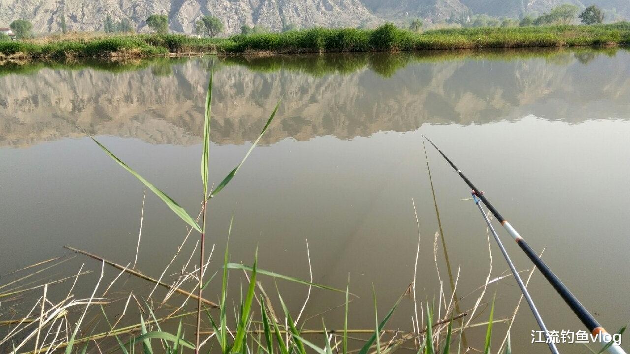 |来自钓鱼人的烦恼,钓到太多鱼送不出去