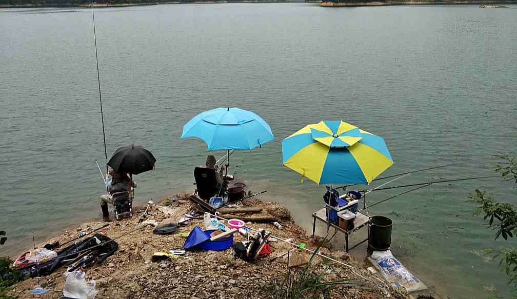 夜钓|钓友们注意了,最近夜钓能爆护啊