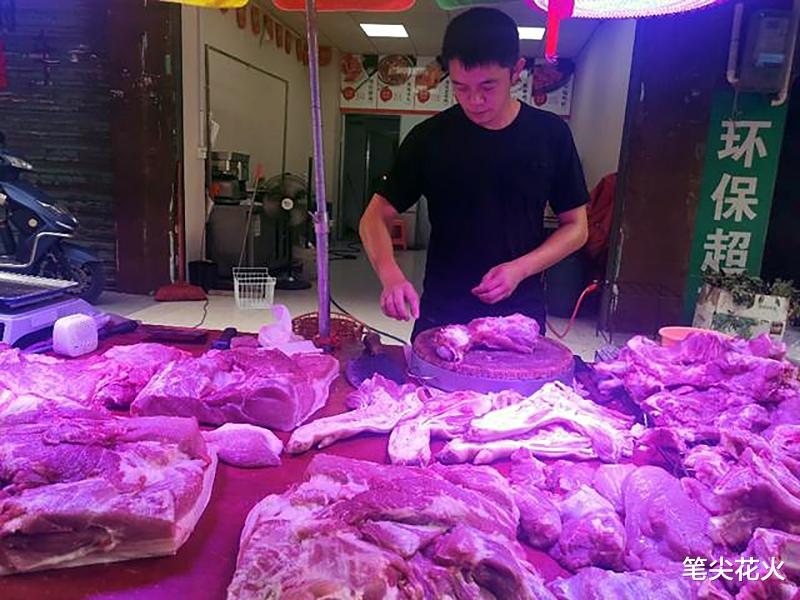 监控视频|大学生公务员辞职卖猪肉，是人才浪费吗？