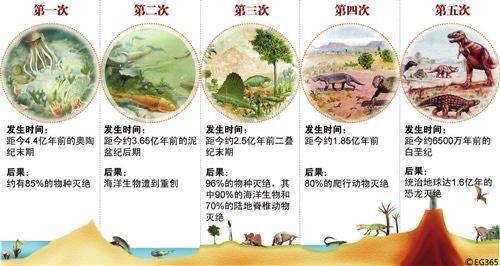1.5万名科学家联合声明,第六次大灭绝或正发生,有这种可能吗?