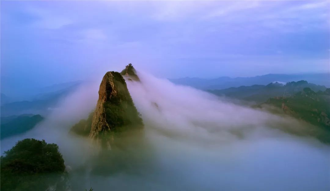 露营|河南旅游：来看看今天老君山霸屏的云海究竟有多美！