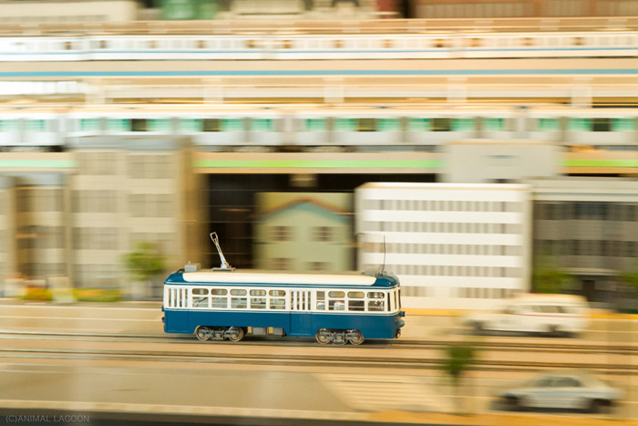 学会控制快门速度和构图,让你的摄影技术突飞猛进