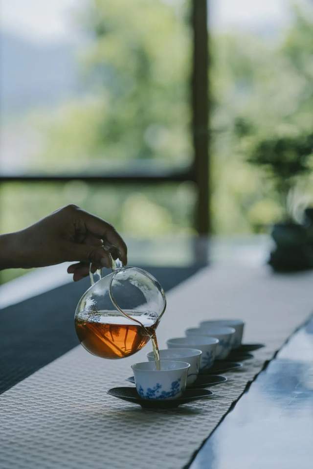 |在缙云山下的悬崖江畔，喝到景迈山古树氤氲