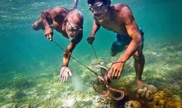 为潜水进化出了更大的脾脏,这个民族依然难以适应现代社会