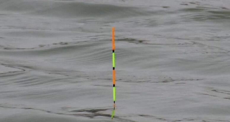 |钓鱼时浮漂动作明显,为何会空竿?高手讲解其中原因