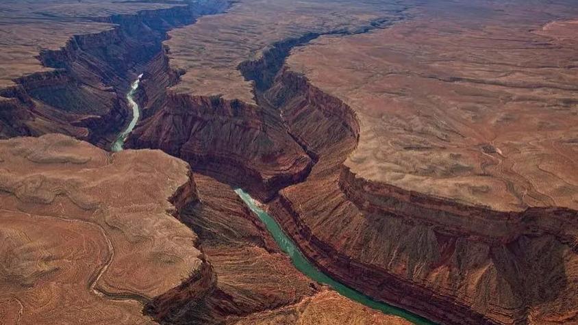 |老板是一种职业