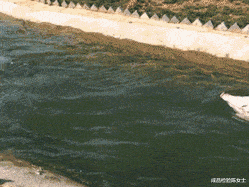 “女朋友当年是班里的班长,当看到她17岁的照片时,这是帮主叭?”