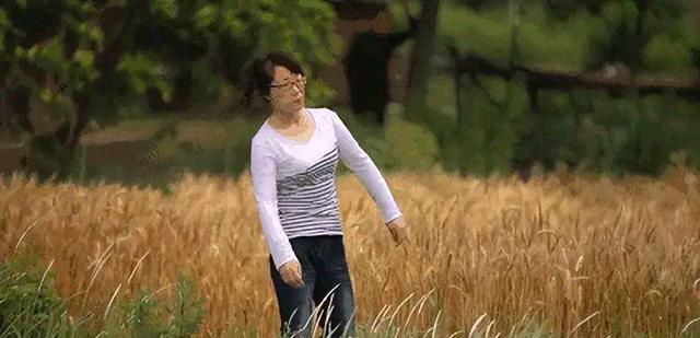 余秀华发文反省,称自己不适合做人妻,杨储策表示还爱着她