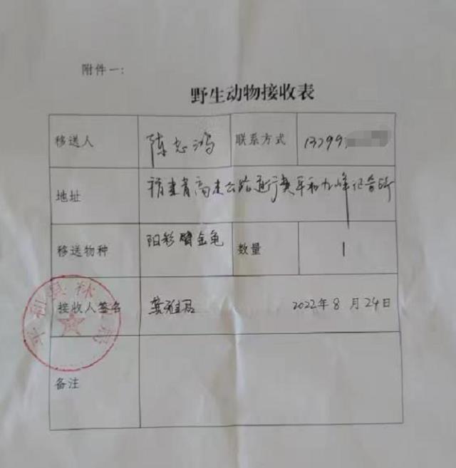 罕见!福建收费站现阳彩臂金龟 40年前宣布灭绝,再现意义有多大