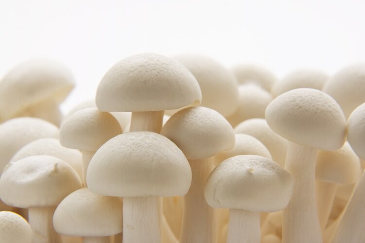 金针菇有异味是含甲醛，吃多了会致癌？提醒：4种肉最好不吃