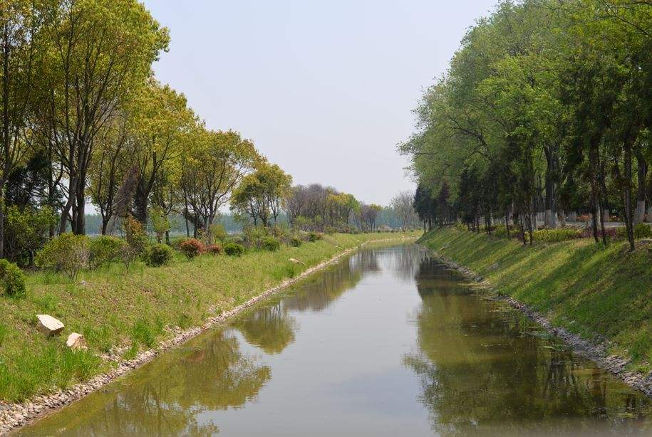 公园发现漂浮女尸,生前遭残忍侵犯,U盘视频是关键证据
