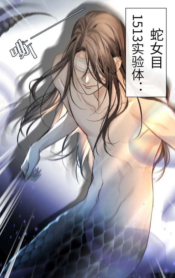 |人鱼陷落：情敌登场挑衅，小白不敌受伤，兰波气红尾巴进入成熟期