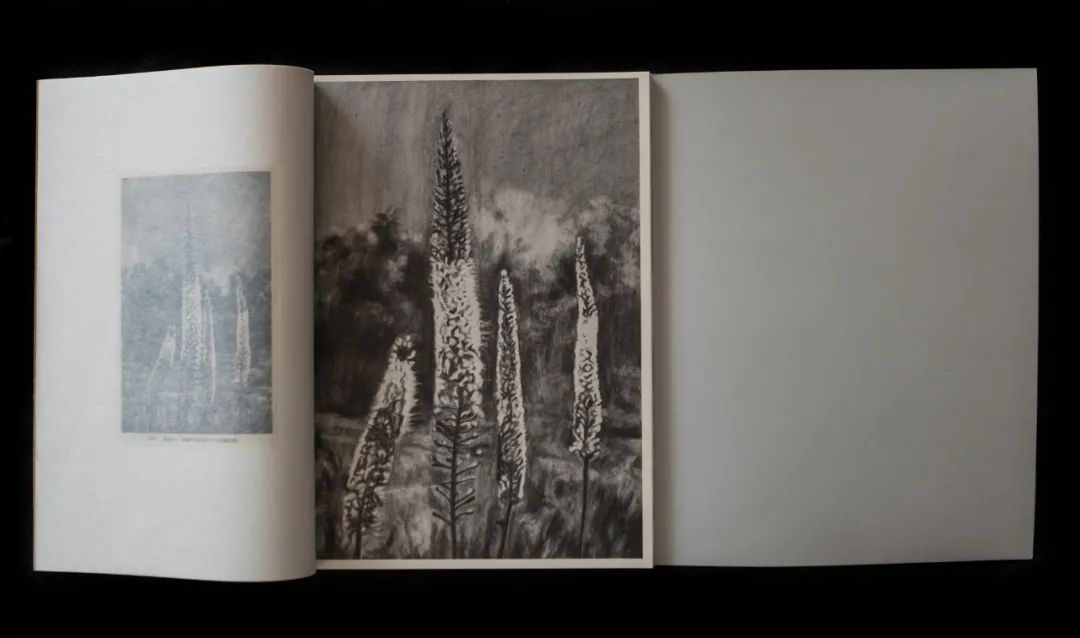 摄影的书不应该被摄影所束缚