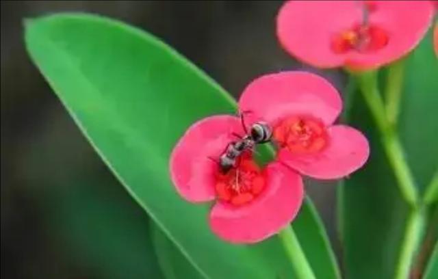 |二把手如何与强势的一把手处理好关系,才能保证自己的正当权利?