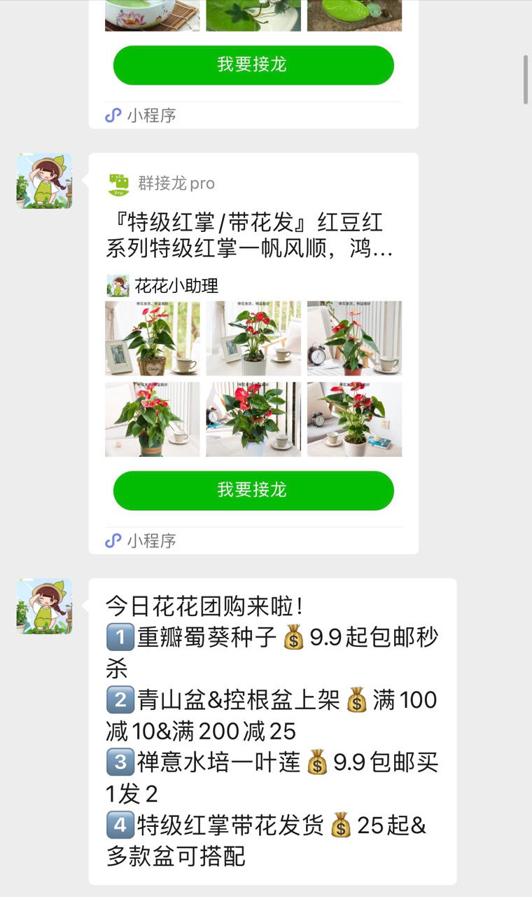 想找一个晒花、聊天的群,赶紧来看看这篇文章!