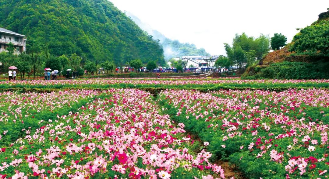 浦江|浦江，我们就要来了！