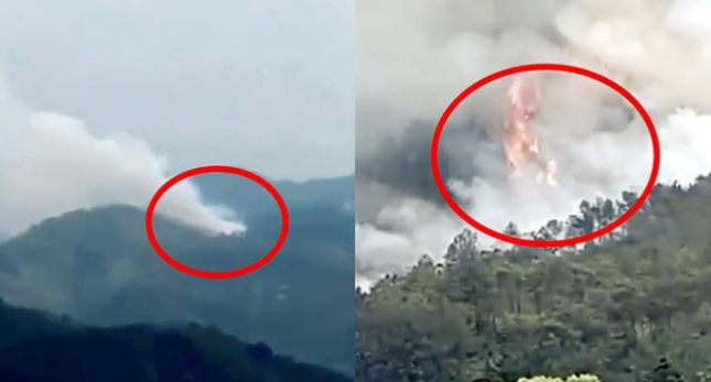 杨迪|明星杨迪,回应飞机事故