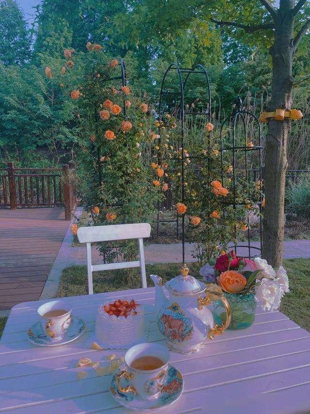 张馨予|亲力亲为的张馨予，在百平小院，耕种了3000株植物，把生活过成诗