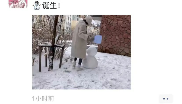 |忽然一夜“春”风来，千树万树“梨”花开