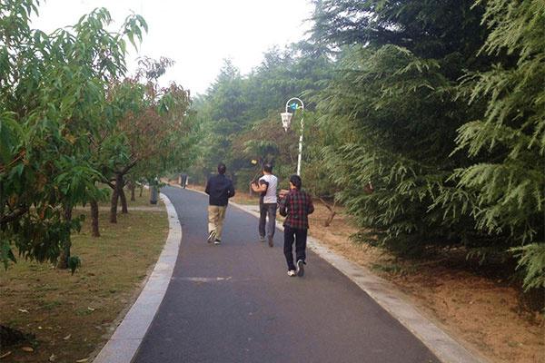 跑步|男性慢跑会给身体带来哪些好处？坚持每天跑三公里，或有惊喜变化