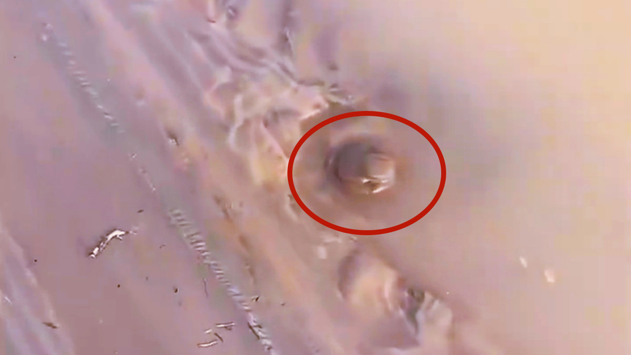 黄河|男子在黄河边钓鱼无获，水边掀开一鼓包后惊呼：钓半天不如这一下