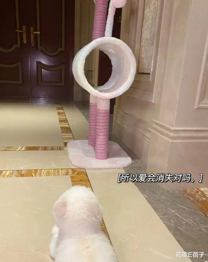 鹿晗|鹿晗关晓彤分手？男方疑似被传出轨宋妍霏等多位女星？