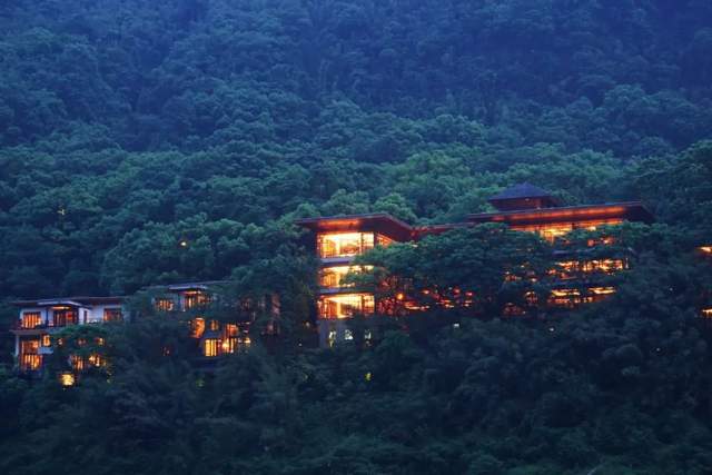 |在缙云山下的悬崖江畔，喝到景迈山古树氤氲