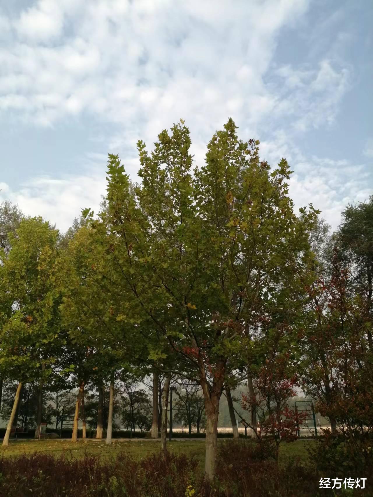 高血压|六经病之脉阴阳虚实辨证为治病求本之眼目