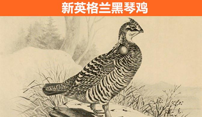随着科学的发展,人们试图把早已经灭绝的9种动物重新复活