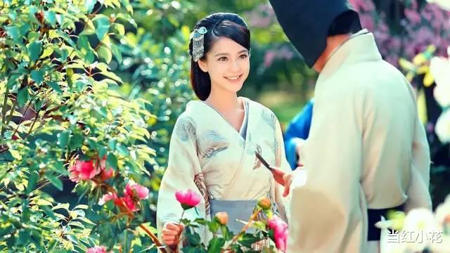 杨紫|她毁掉的【她】,杨紫能救吗?