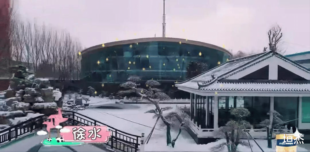 欢迎光临|壕无人性的9位浪姐:有钱也养不起,消费高到普通人想都不敢想