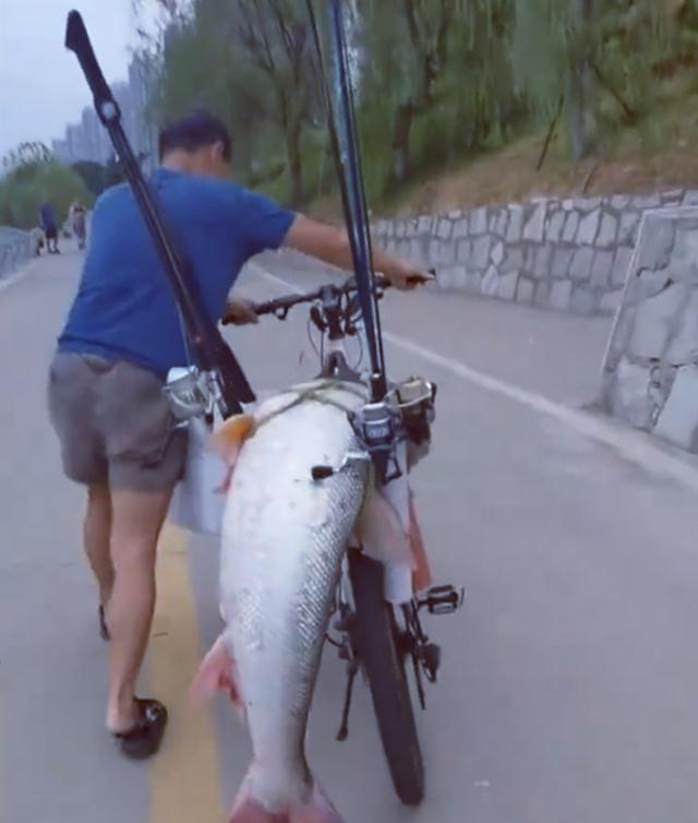 |男子罕见钓获“米级”水老虎,围观的人不淡定了,网友:低调点呀