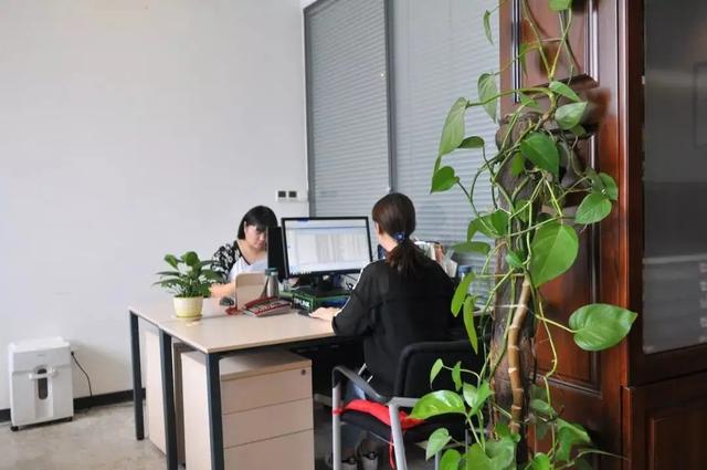 赵丽颖|职业发展遭遇天花板,超六成专科生月薪低于5000,背后原因是什么