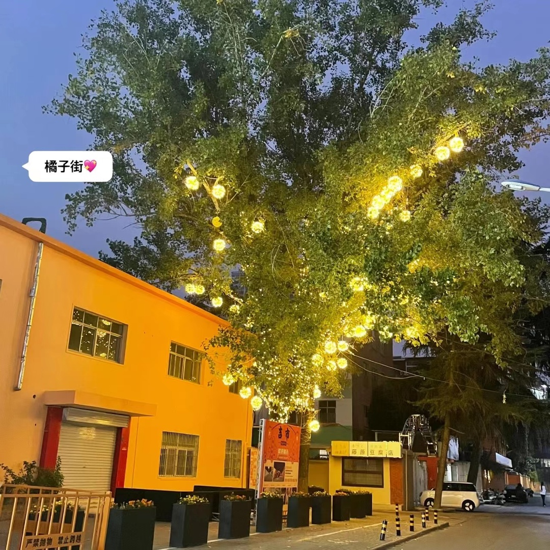 洛阳|【旅游】洛阳一些自己整理的攻略